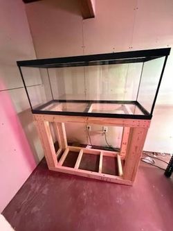 60 gallon fish tank