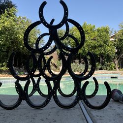 10 Bottle Wine Rack Made From Horseshoes!