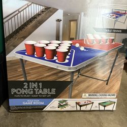 Pong Table 2 In 1