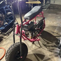 224 Mini Bike
