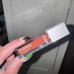 Endless Longwear Lip Color 
