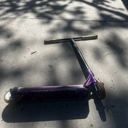 Custom Park Scooter  