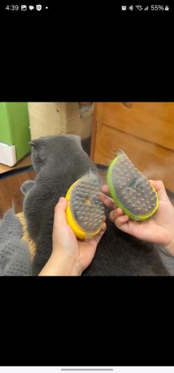 Cat Dog Steamy Brush Steam Brush Electric Sprayer for Massage Pet Grooming tool Shedding 3 in 1 Electric Sprays Massage Combs