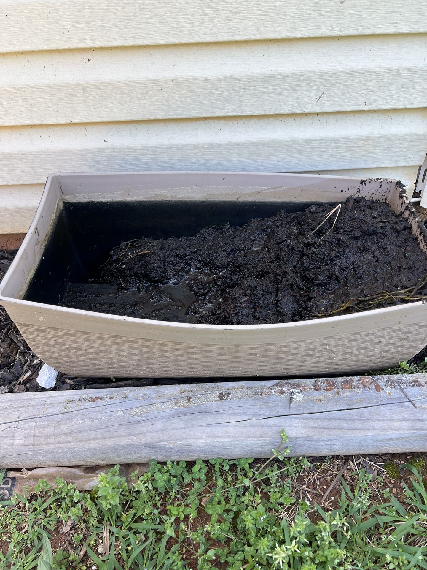 Plant Pot