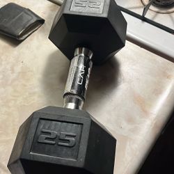 25 Pound Dumbbells 