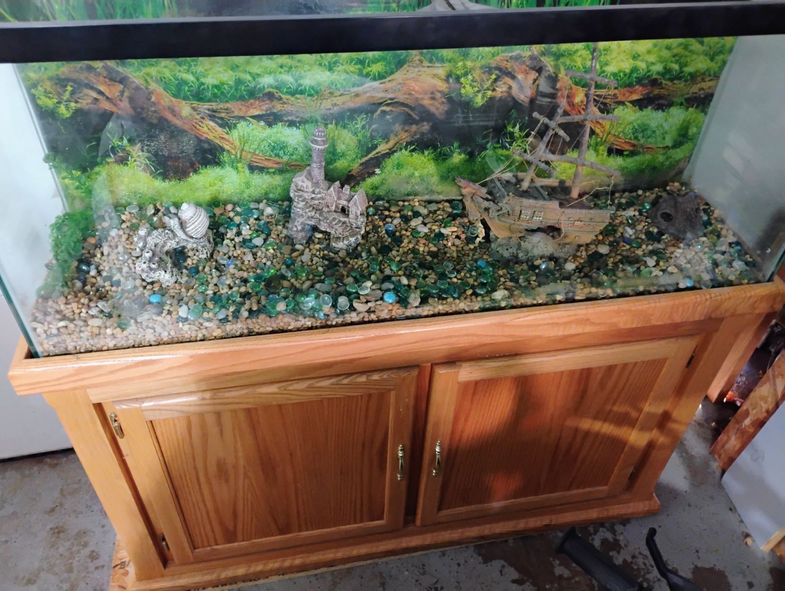 fish tank