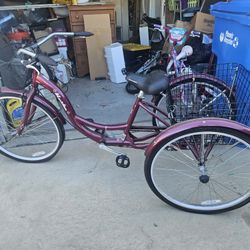 Adult Red 3 Wheel Bicycle 