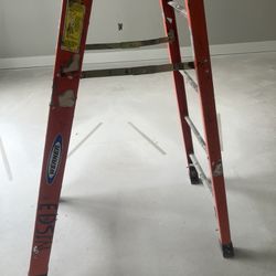 Werner Ladder 