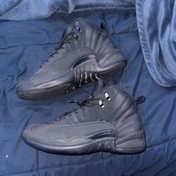 jordan 12 winterized