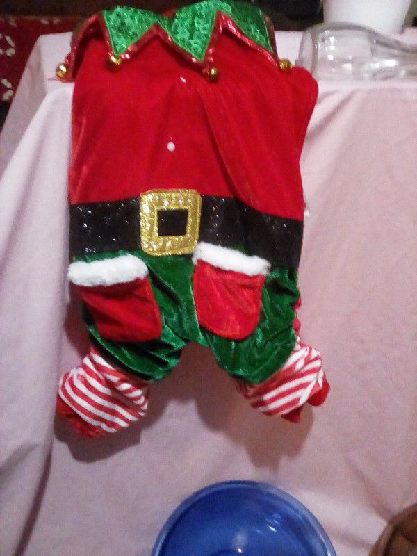 Santa Outfit For Small  Dog