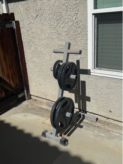 Olympic Weights + Stand