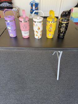 Character 20oz Fliptop Tumblers $20each