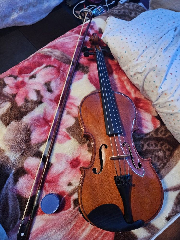 Viola 14 Inch