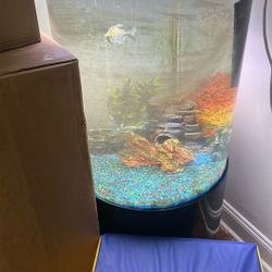 Fish Tank For Sale 55 Gallon