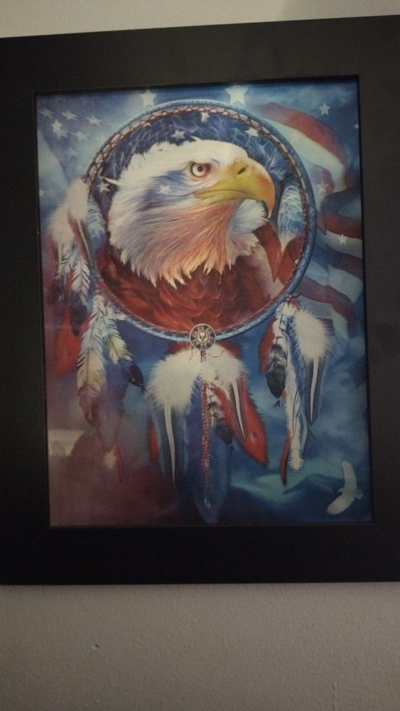 3D Professional Framed, native Wolf, Hawk Ect.