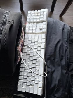 Apple A1048 Wired USB Keyboard - Clear White, Full Size with Number Pad
