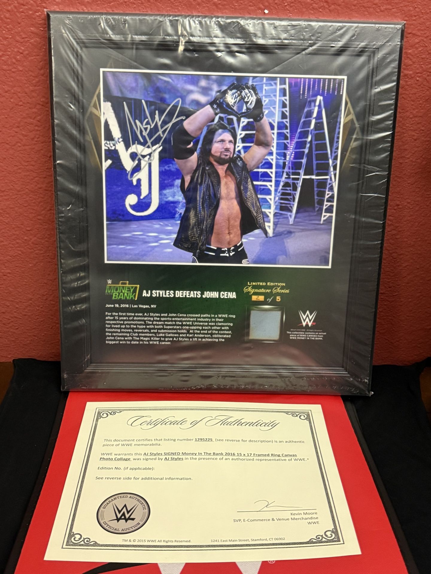 WWE Plaque