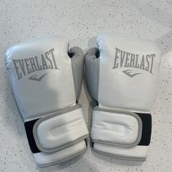 Everlast power lock Boxing Gloves 