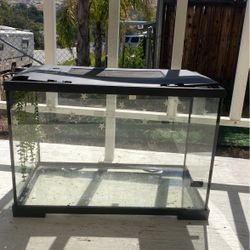 Reptile Tank 20 Gallon