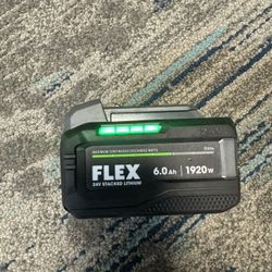 FLEX 6.0 Battery