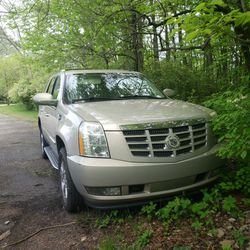 Escalade For Sale