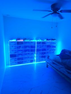 Size 13 sneaker collection