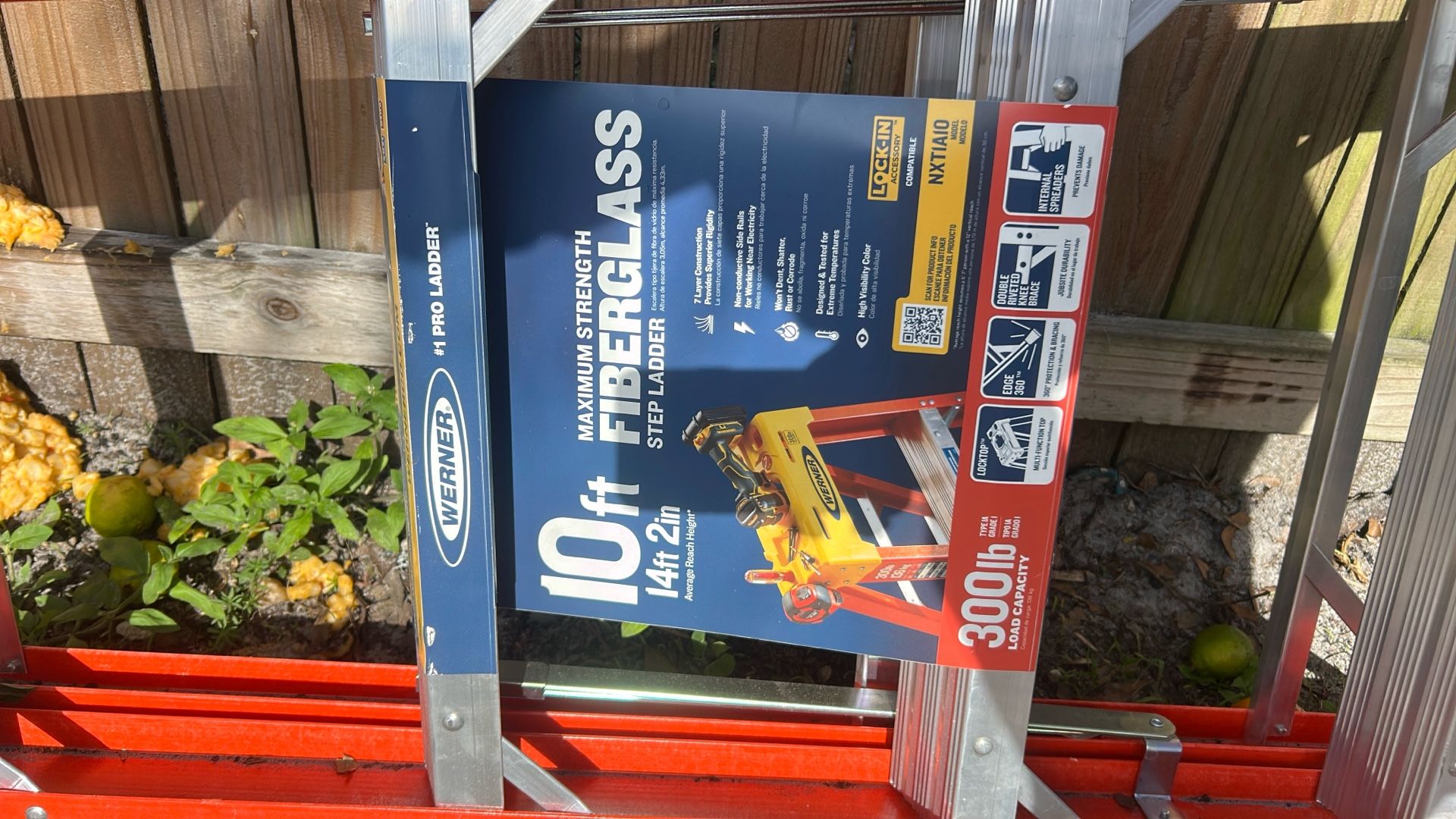 Werner 10ft Ladder