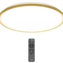 Europa 21 in. Gold LED 3CCT Flush Mount Ceiling Light with Night Light Preset and Remote Included