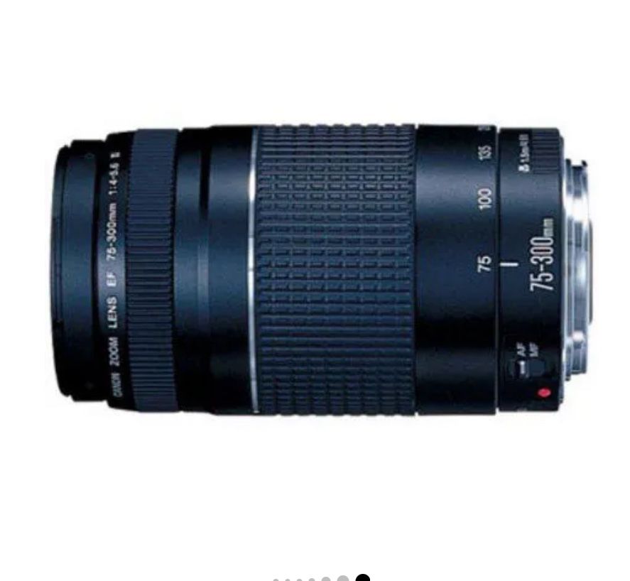 Canon EF 75-300mm F/4-5.6 III Autofocus Telephoto Zoom Lens Photography 