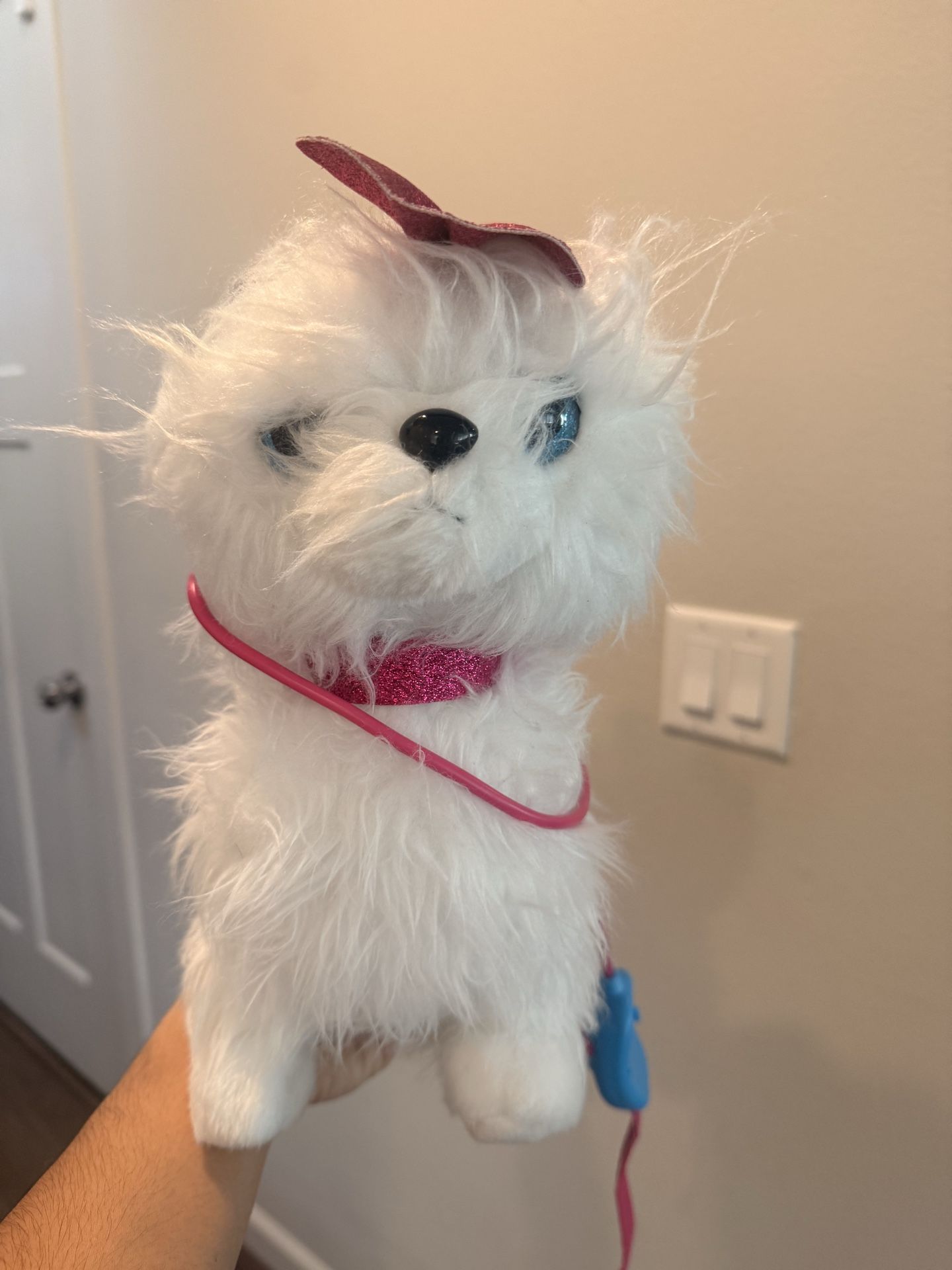 Walking pet toy