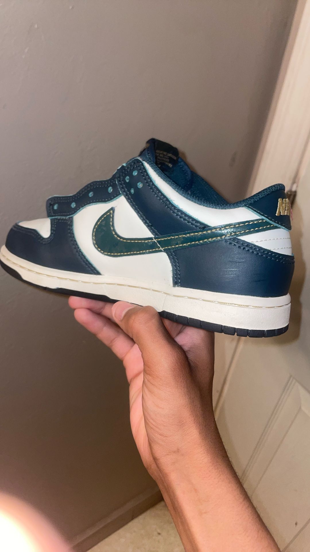 Nike Dunks Basketball Limited Edition Shoes