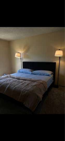 Floor length dimmable light/lamp