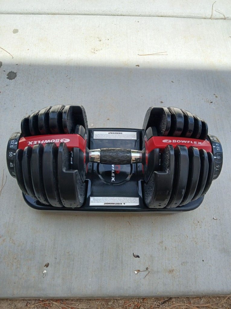 Bowflex Arm Weights 💪  Just One