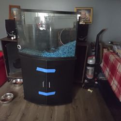 33 gallon Fish Tank