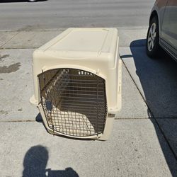 Large Pet Carrier With Bed