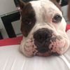 Diego