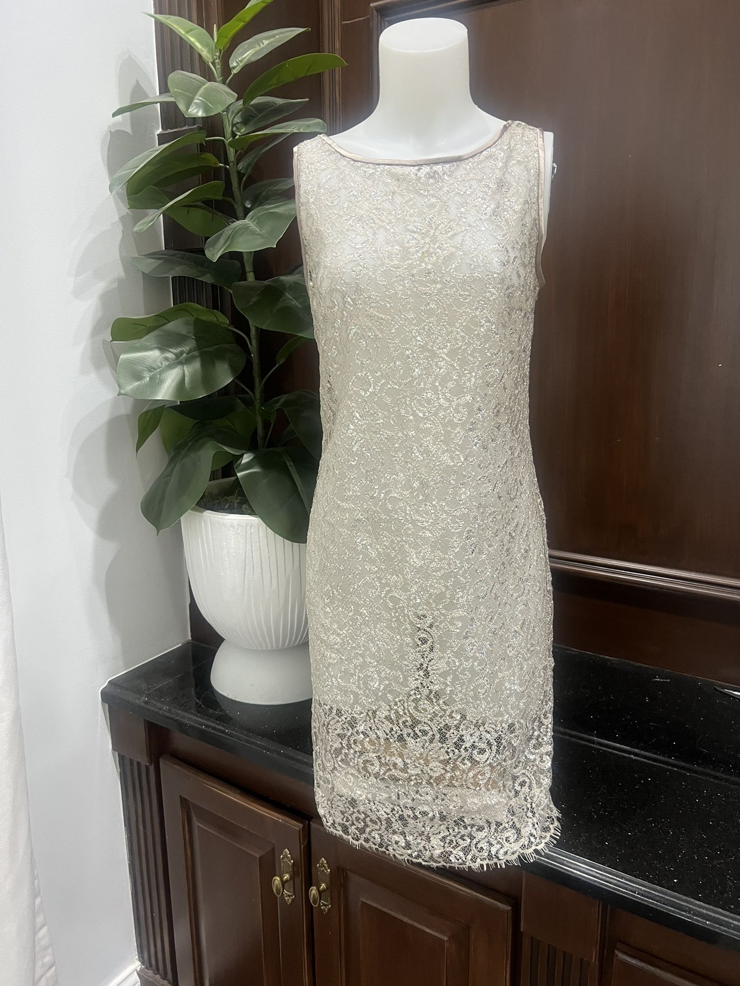 Terri Jon transparent, see-through lace, silver champagne fringe dress size 8