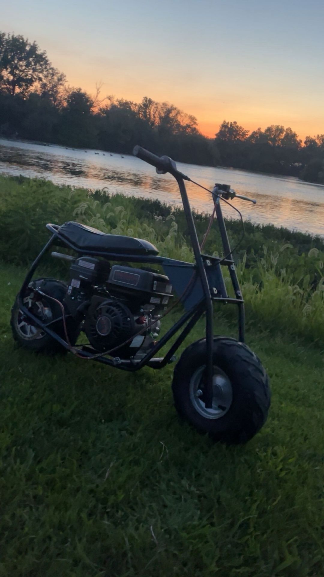 MINI BIKE FOR SALE
