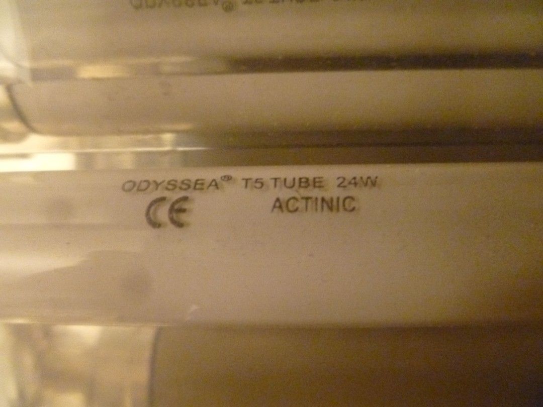 Odyssea ADV Plus Series Metal Halide + T5HO Aquarium Light Fixture – 36” w/  Ballasts – $125, image size:1080x810