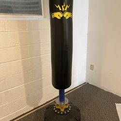 Boxing or Kickboxing Punch Bag 