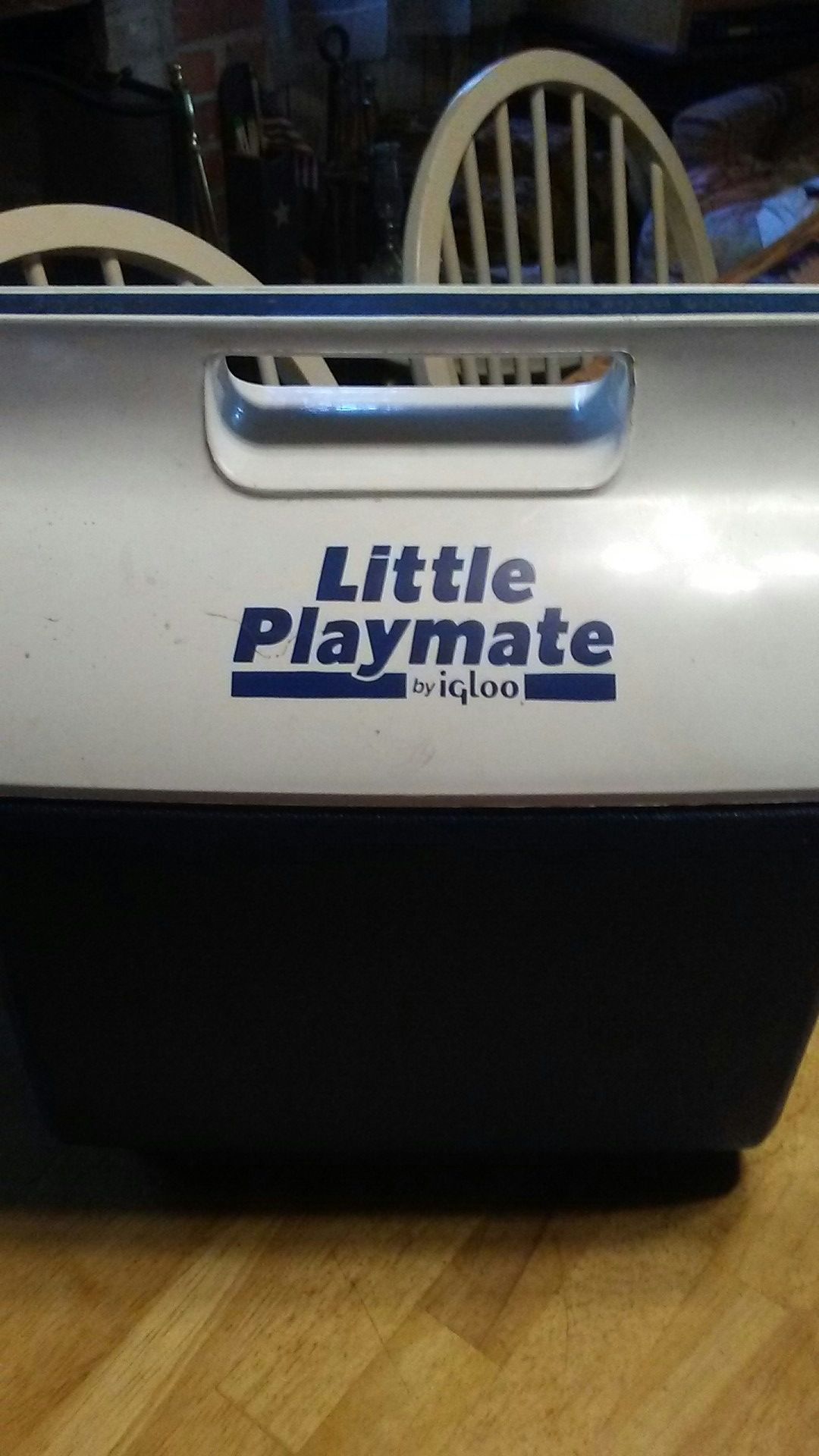Little Playmate Cooler