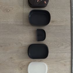 Japanese bento Box 