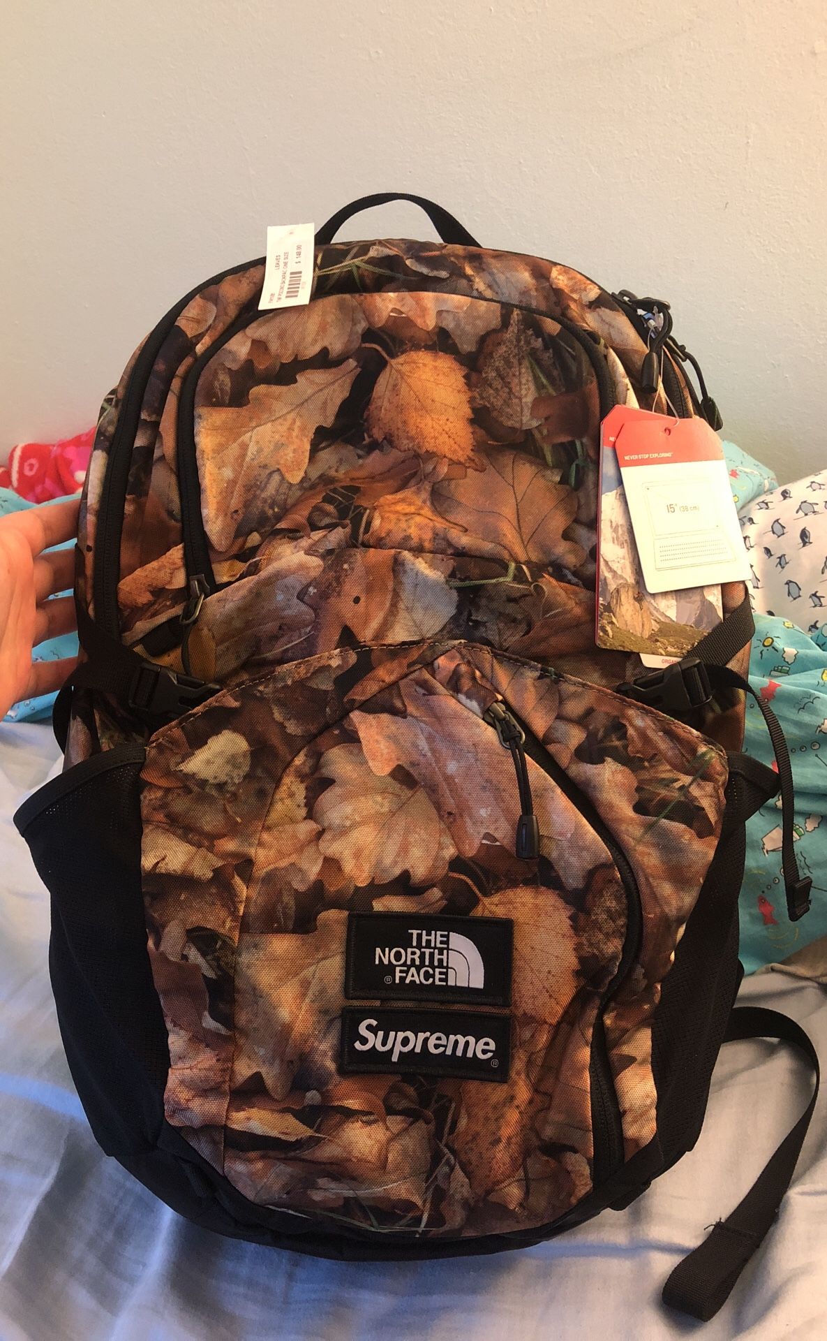 Supreme 2016 leaves x north face backpack