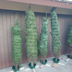 Real Christmas Trees W/ FREE STAND In Hacienda Heights 