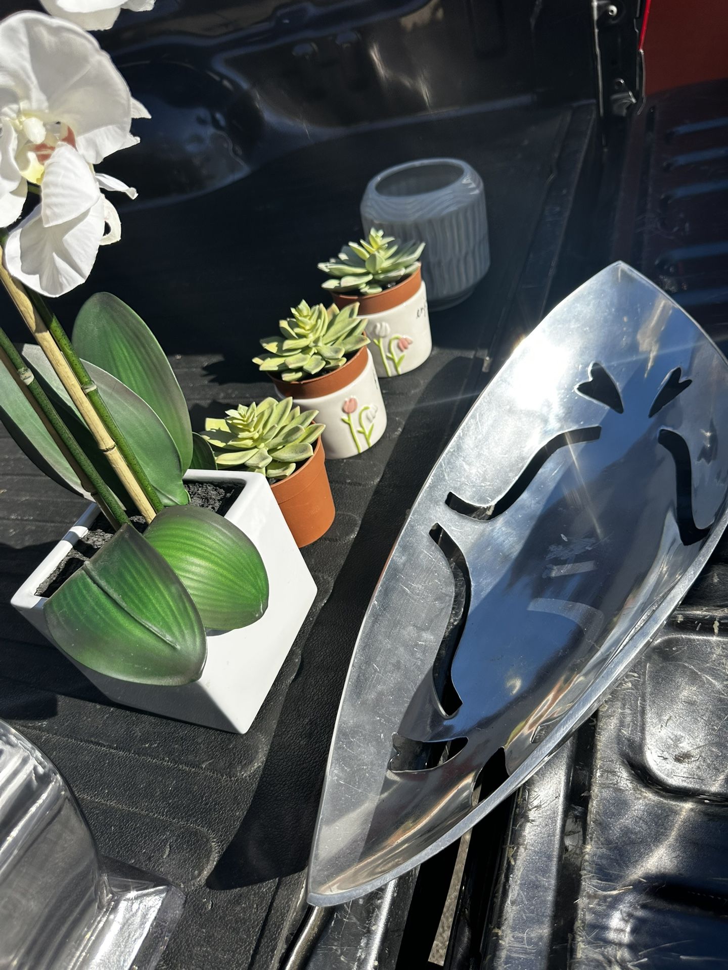 Staging Plants And More Items ALL TOGETHER