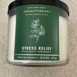 Bath And Body Works 3 Wick Scented Candle