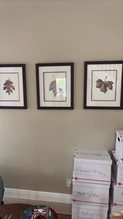 Three leaf pictures