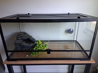 40 gal reptile tank