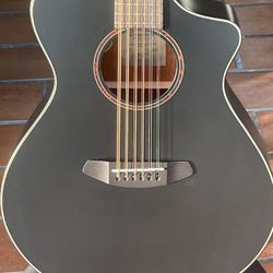 Breedlove 12 String Acoustic Guitar 