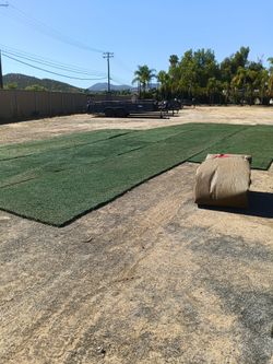 Artificial Turf Summer Sale